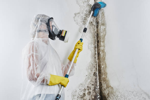 Crawl Space Mold Removal in Kitty Hawk, NC